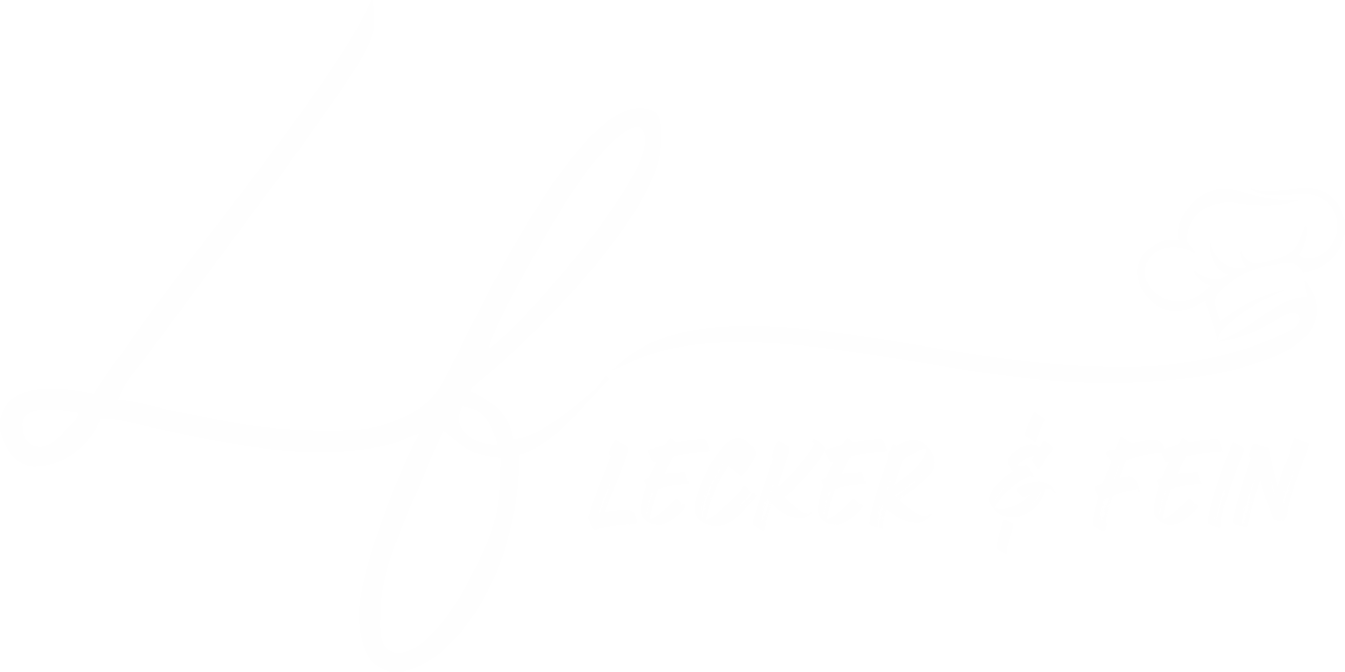 Lecker & Fein
